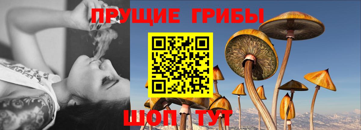 Псилоцибиновые грибы Magic Shrooms Ржев