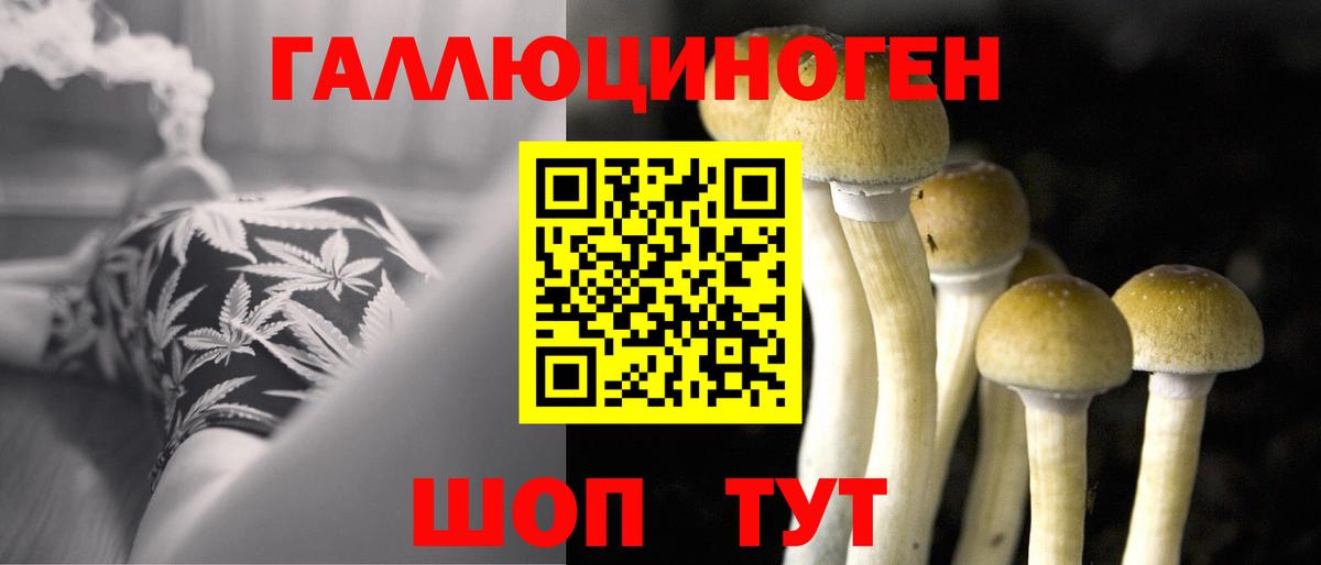 Галлюциногенные грибы Psilocybe  Вход с VPN  Ржев 